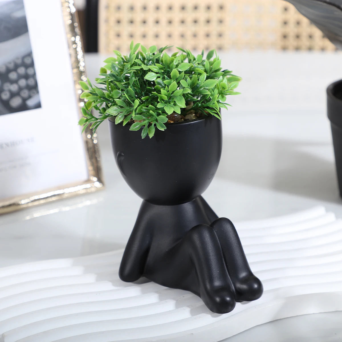 Adorable Eucalyptus Plant in Black & White Character Pot Sexy Boy Girl Pose Mini Planter for Home Decor Present Gift