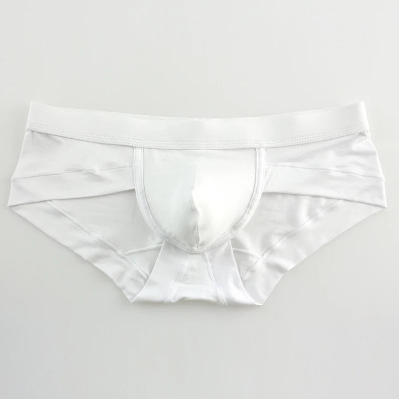 Men’s Low-Waist Briefs – Sexy U-Pouch Seamless Quick-Dry Underwear