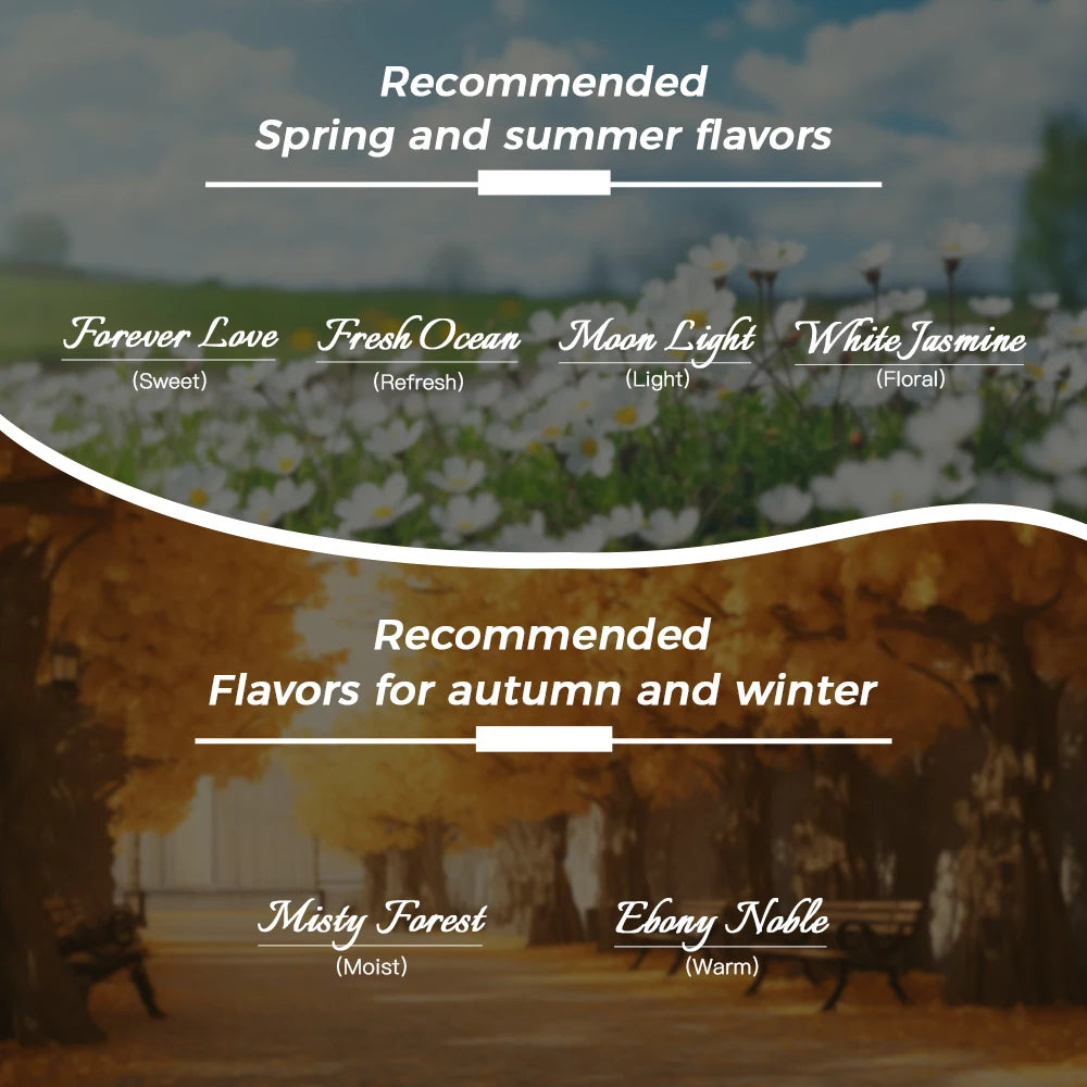 Luxury Home Fragrance – Long-Lasting Rattan Scent