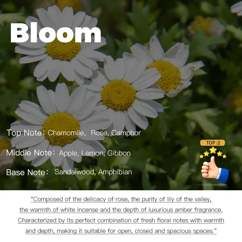 Exclusive Aromatherapy – Hotel-Quality Perfume Oil