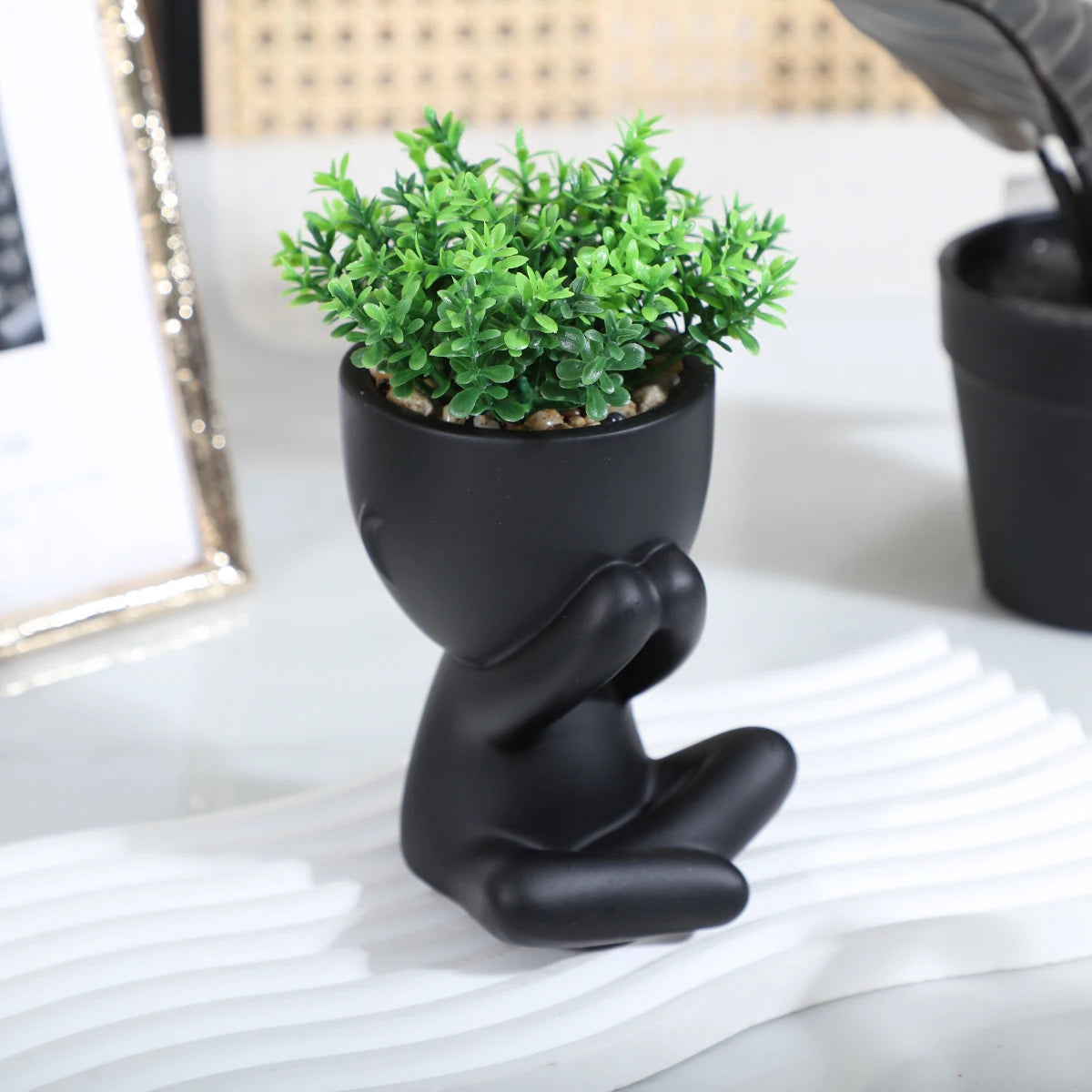 Adorable Eucalyptus Plant in Black & White Character Pot Sexy Boy Girl Pose Mini Planter for Home Decor Present Gift