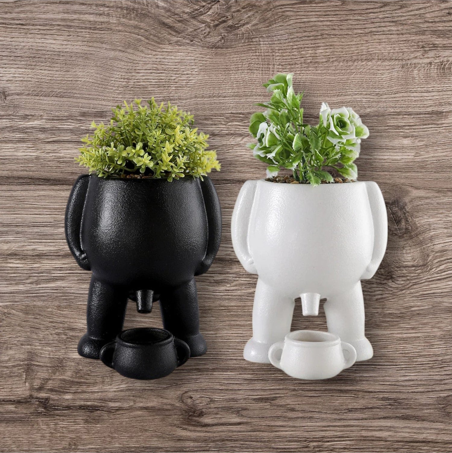 Flower Pots / Vases