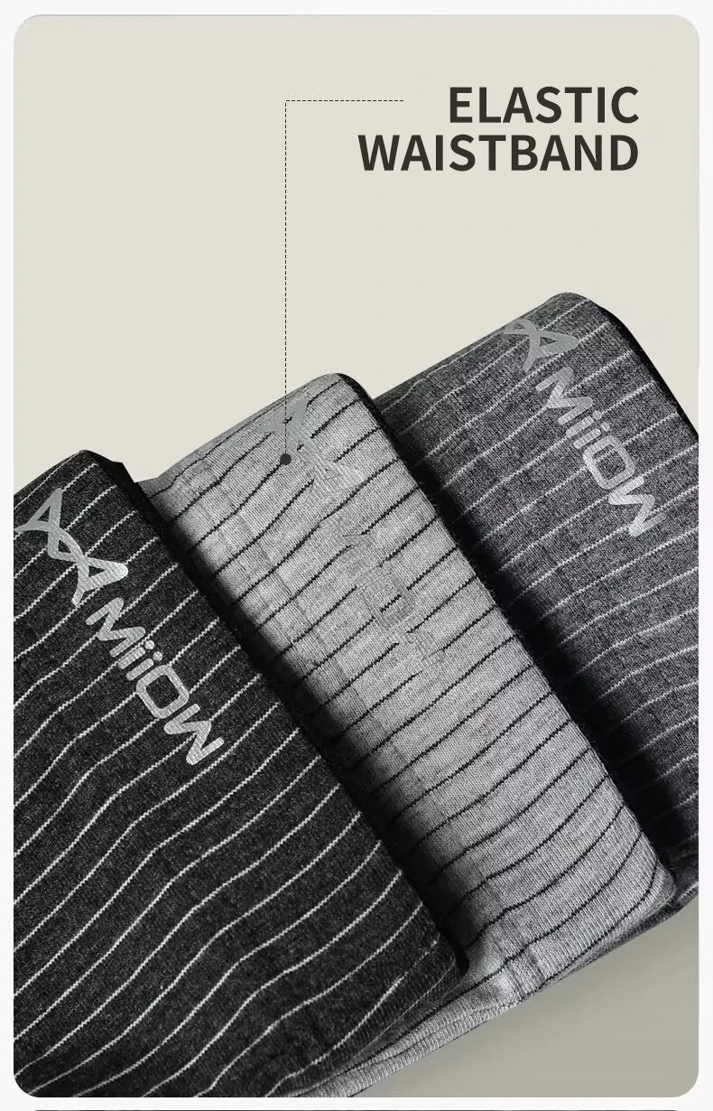 Graphene Cotton Boxers – 4PCS Striped Men’s Underwear