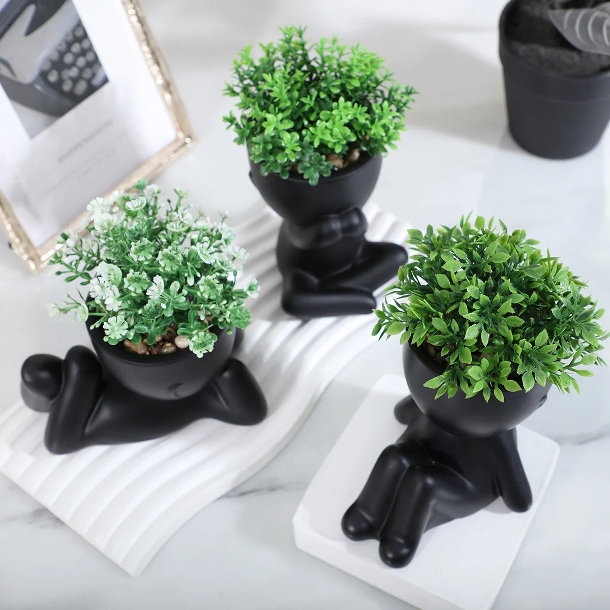 Adorable Eucalyptus Plant in Black & White Character Pot Sexy Boy Girl Pose Mini Planter for Home Decor Present Gift