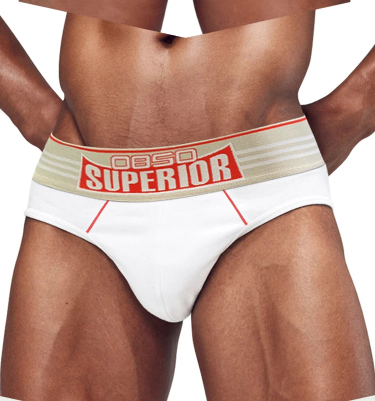 Sexy Men’s Cotton Briefs – Perfect Daily Wear