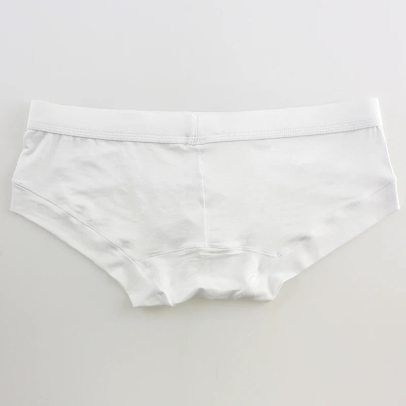 Men’s Low-Waist Briefs – Sexy U-Pouch Seamless Quick-Dry Underwear