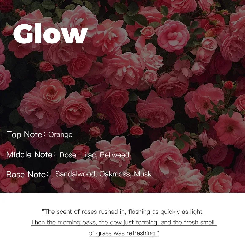 Exclusive Aromatherapy – Hotel-Quality Perfume Oil