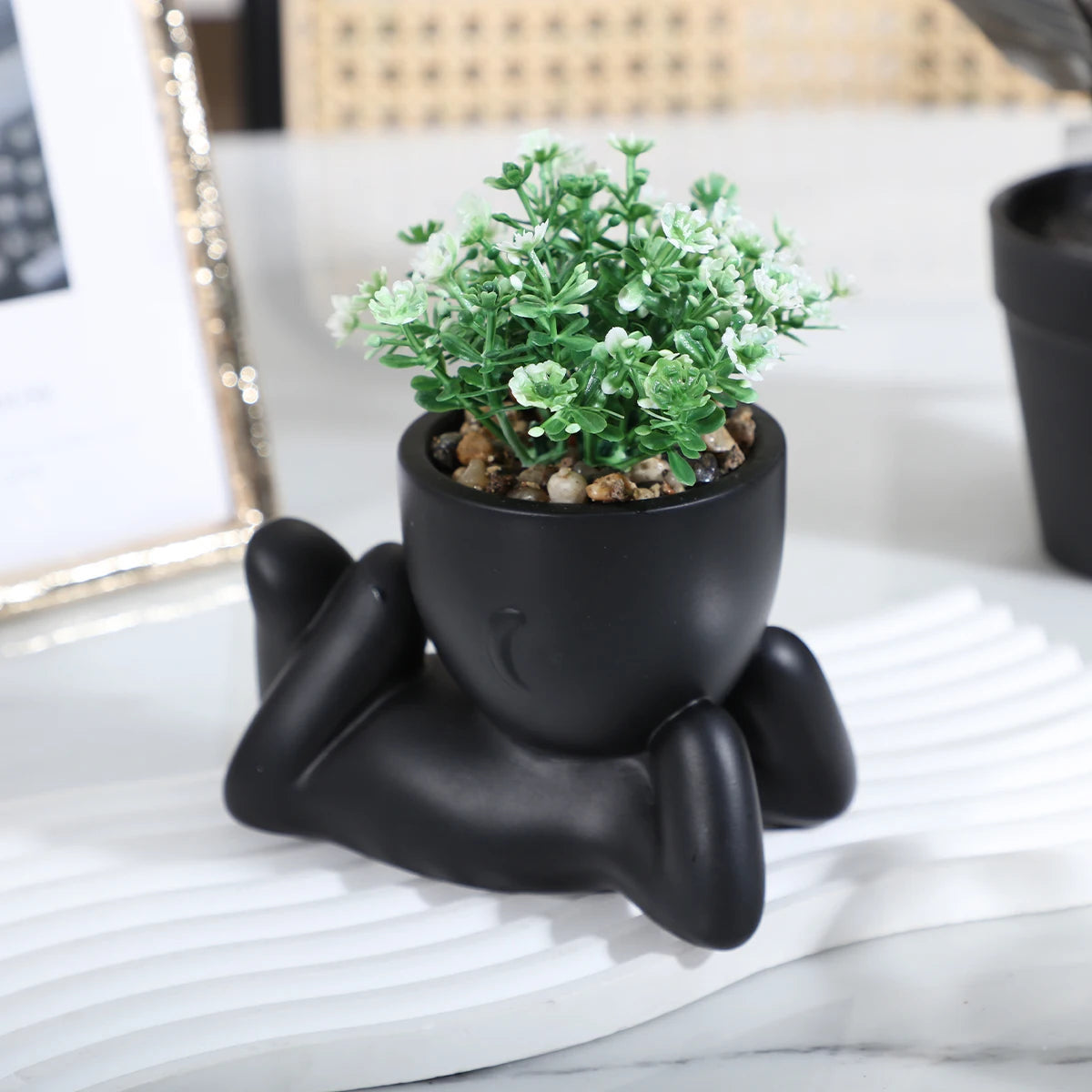 Adorable Eucalyptus Plant in Black & White Character Pot Sexy Boy Girl Pose Mini Planter for Home Decor Present Gift